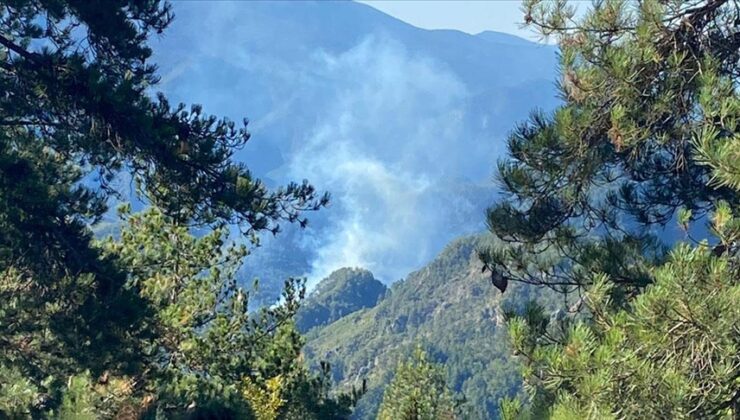 Hatay’da ormanlık alanda çıkan yangına müdahale ediliyor