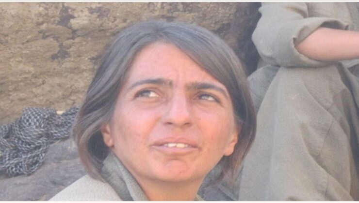 MİT, terör örgütü PKK/PAJK’ın sözde sorumlularından Yayla Kızılkaya’yı etkisiz hale getirdi
