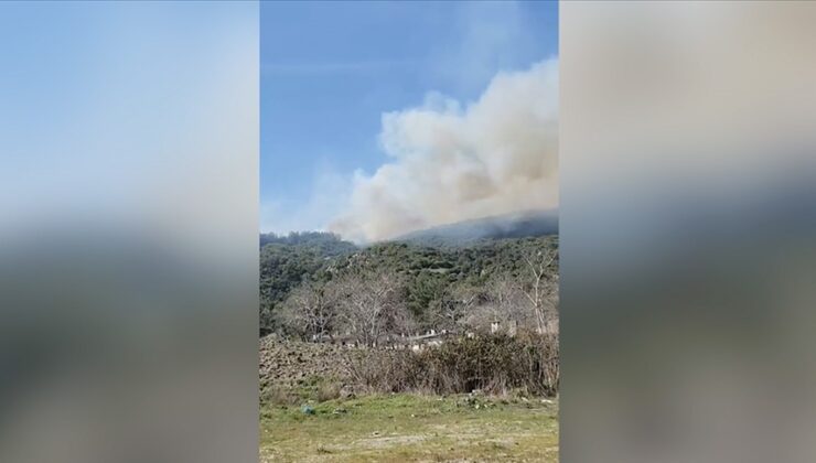 Çanakkale’de çıkan orman yangınına müdahale ediliyor