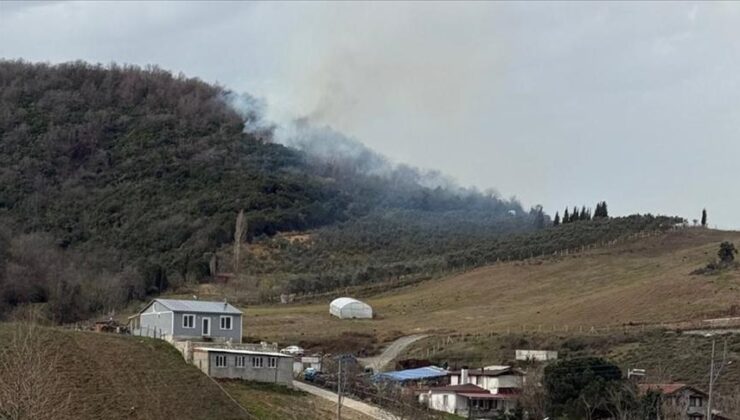 Yalova’da ormanlık alanda çıkan yangına müdahale ediliyor