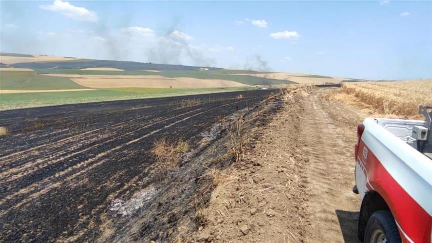 Tekirdağ’da tarlada çıkan yangında 70 dönüm buğday ekili alan yandı
