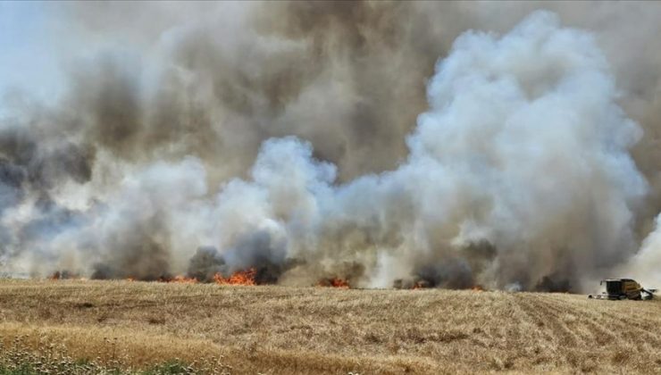 Mardin’de yaklaşık 350 dekar buğday ekili alan yandı
