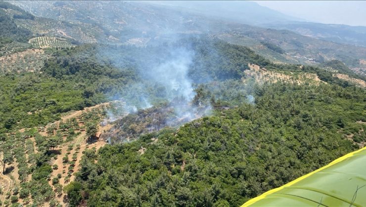 Aydın’ın Germencik ilçesinde ormanlık alanda yangın çıktı