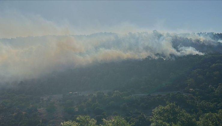 Balıkesir’de çıkan orman yangınına müdahale ediliyor