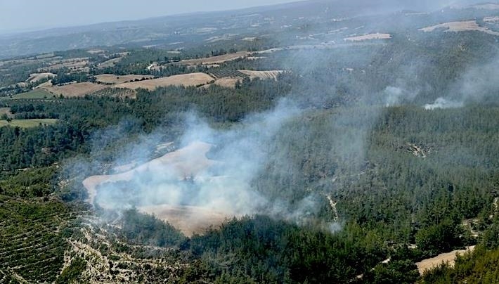 Adana’da orman yangını çıktı