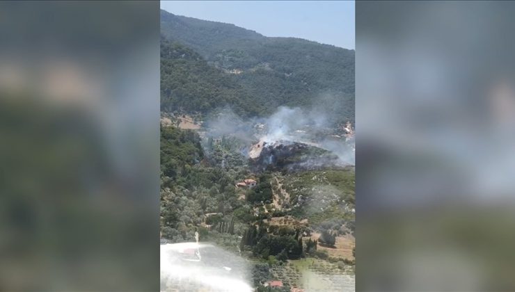 İzmir’in Kemalpaşa ilçesinde çıkan orman yangını kontrol altına alındı