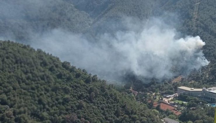 İzmir’de ormanlık ve makilik alanlarda çıkan yangınlara müdahale ediliyor