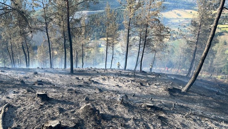 Balıkesir’de çıkan orman yangını kontrol altına alındı