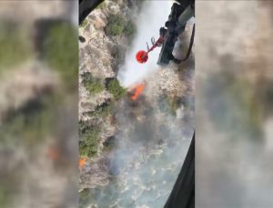 Antalya’da çıkan orman yangını kontrol altına alındı