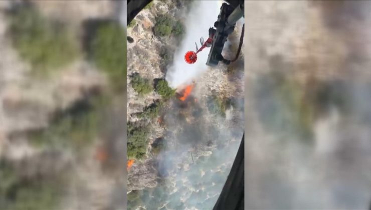 Antalya’da çıkan orman yangını kontrol altına alındı