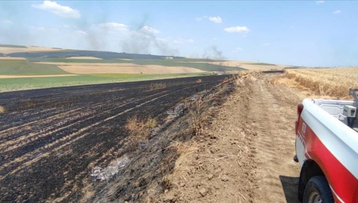 Tekirdağ’da tarlada çıkan yangında 70 dönüm buğday ekili alan yandı