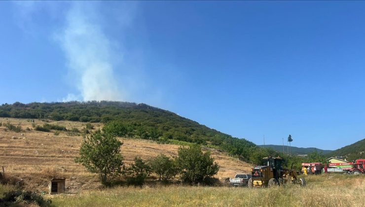 Tokat’ta ormanlık alanda çıkan yangına müdahale ediliyor