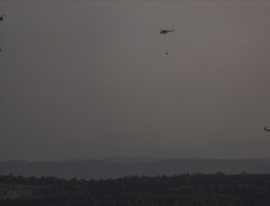 İzmir Bornova’daki orman yangını kontrol altında