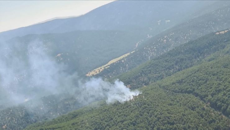 Denizli’nin Çivril ilçesinde orman yangını çıktı