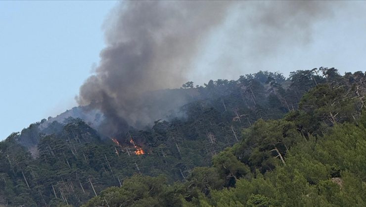 Denizli’de çıkan orman yangını söndürüldü