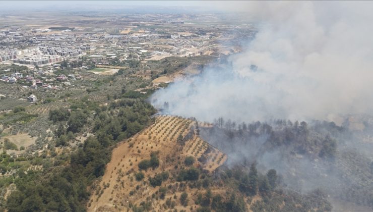 Hatay’da ormanlık alanda yangın çıktı