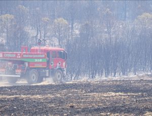 Tekirdağ’da çıkan orman yangını kontrol altına alındı