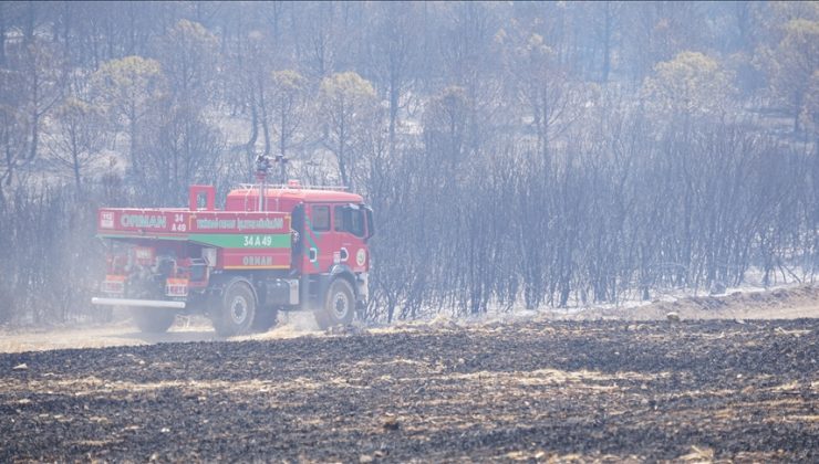 Tekirdağ’da çıkan orman yangını kontrol altına alındı