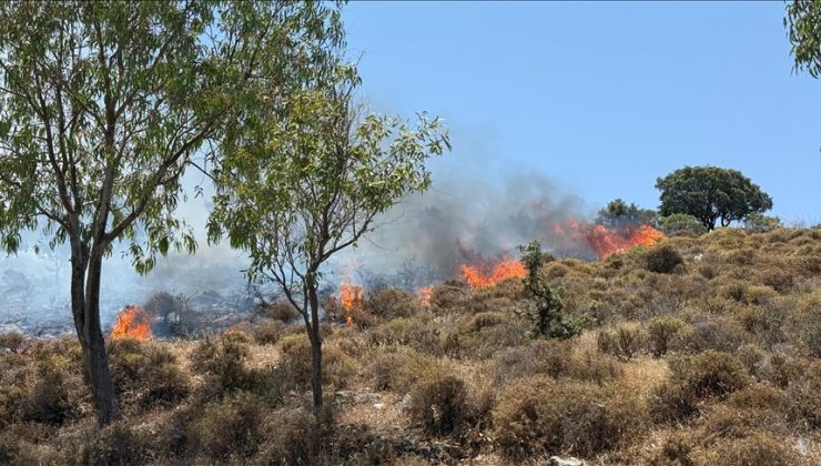 Bodrum’da makilik ve otluk alanda çıkan yangına müdahale ediliyor