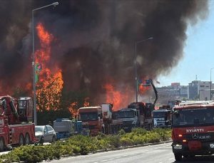 Kocaeli’de palet fabrikasında çıkan yangına müdahale ediliyor