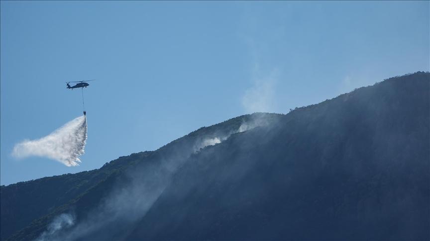 Bazı illerde çıkan orman yangınlarına müdahale sürüyor