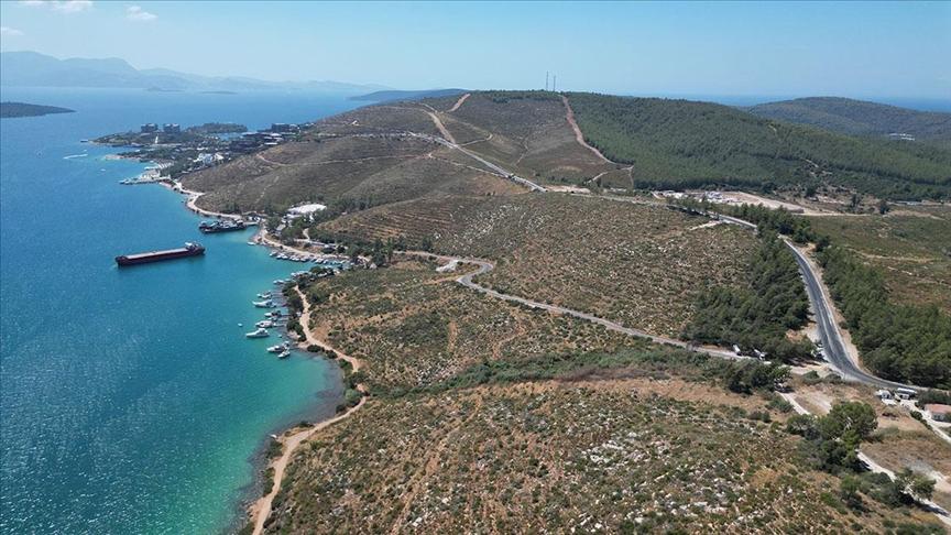Bodrum Güvercinlik’te 4 yıl önce yanan alanlar dikilen fidanlarla yeşeriyor