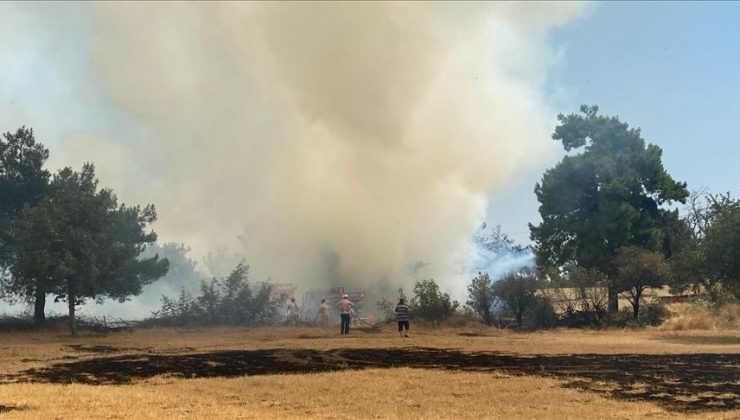 Çanakkale’deki orman yangını kontrol altına alındı