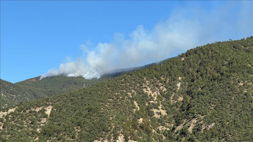 Çankırı’nın Ilgaz ilçesinde ormanlık alanda çıkan yangına müdahale ediliyor