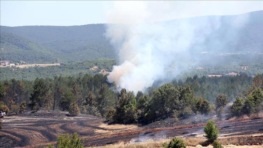 Kastamonu’da tarım arazisinde başlayan yangın ormana sıçradı