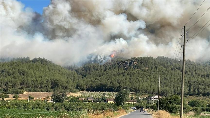 Sakarya’da ormanlık alanda çıkan yangına müdahale ediliyor