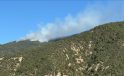 Çankırı’nın Ilgaz ilçesinde ormanlık alanda çıkan yangına müdahale ediliyor
