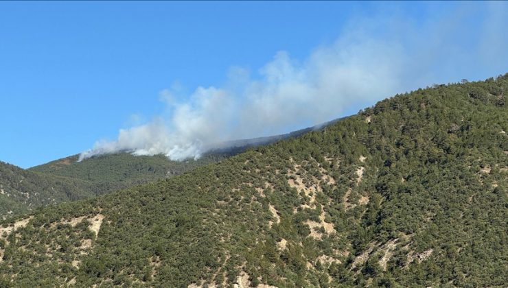 Çankırı’nın Ilgaz ilçesinde ormanlık alanda çıkan yangına müdahale ediliyor