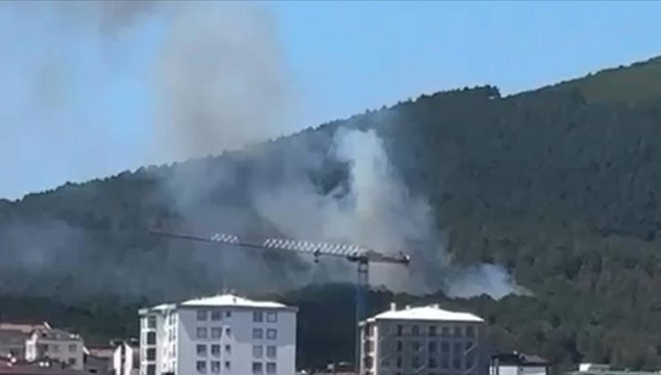 İstanbul’da Aydos Ormanı’nda yangın çıktı