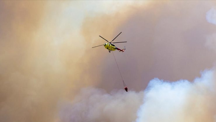 Ormanlık alanlarda çıkan yangınlara havadan ve karadan müdahale ediliyor