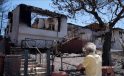 Menderes ve Seferihisar’da yanan ormanlardan geriye siyah örtü kaldı