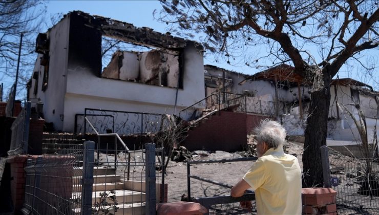 Menderes ve Seferihisar’da yanan ormanlardan geriye siyah örtü kaldı