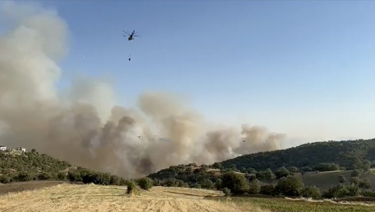 Üç ildeki orman yangınlarına müdahale ediliyor