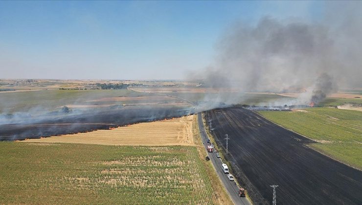 Tekirdağ’da tarım alanında başlayan yangın söndürüldü