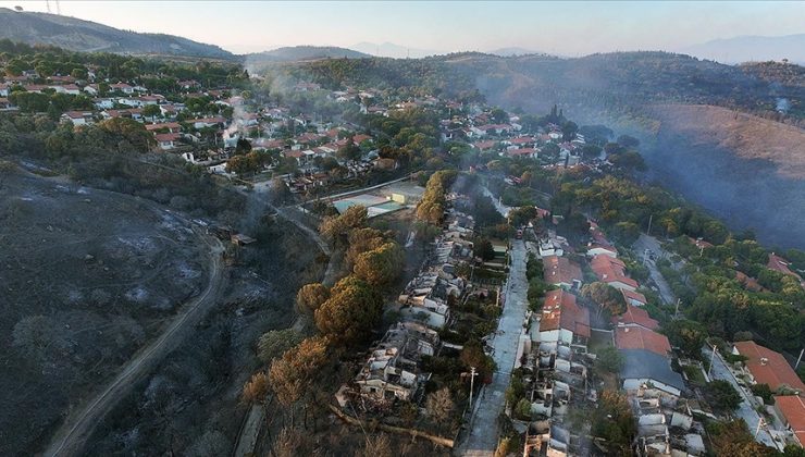 İzmir’de orman yangınlarının ardından hasar tespit çalışmaları tamamlandı