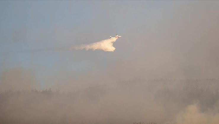 Sakarya’da çıkan orman yangınına müdahale sürüyor