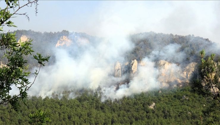 Yurdun çeşitli bölgelerindeki orman yangınlarına müdahaleler sürüyor