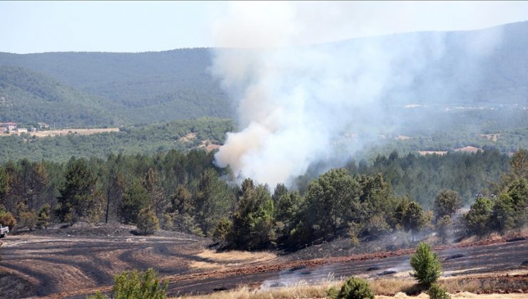 Kastamonu’da tarım arazisinde başlayan yangın ormana sıçradı