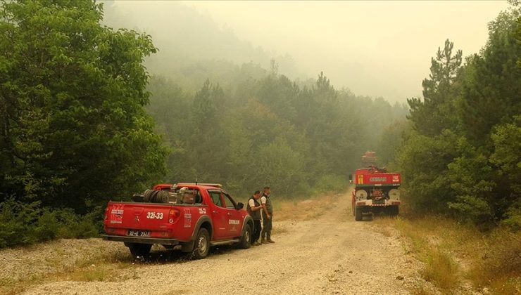 Yurdun çeşitli bölgelerinde çıkan orman yangınlarına müdahaleler devam ediyor