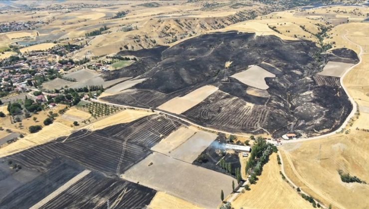 Amasya’da tarım arazisinde çıkan yangında yaklaşık 500 dönüm alan zarar gördü