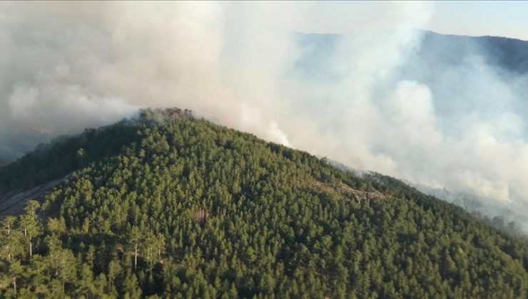 Balıkesir’de çıkan orman yangınına müdahale sürüyor
