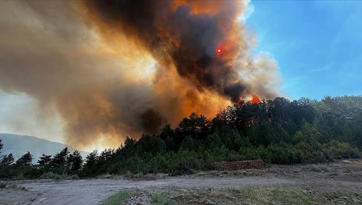 Balıkesir’de çıkan orman yangınına müdahale ediliyor