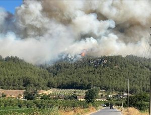 Sakarya’da ormanlık alanda çıkan yangına müdahale ediliyor