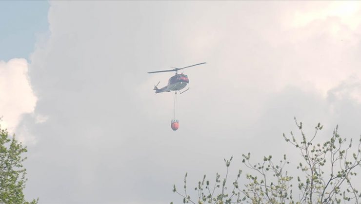 ABD’de Büyük Kanyon Milli Parkı’nda çıkan orman yangını bir günde yaklaşık 20 kat büyüdü
