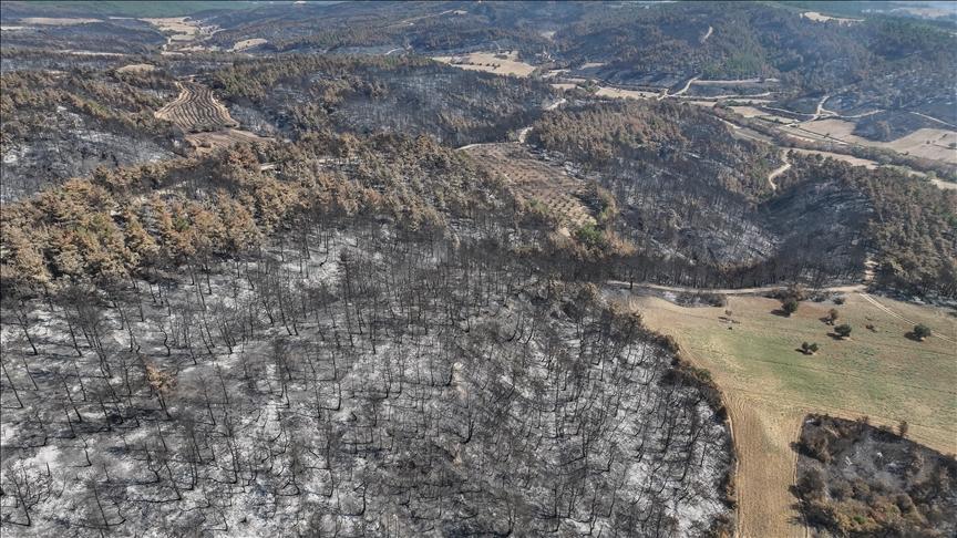 Çanakkale’de yangında zarar gören alanlar dronla görüntülendi