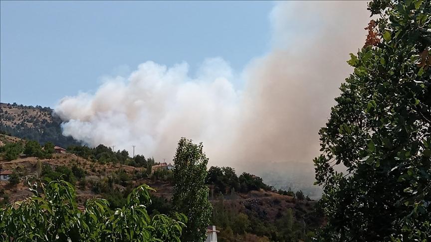 Çorum ve Malatya’da çıkan orman yangınlarına müdahale ediliyor